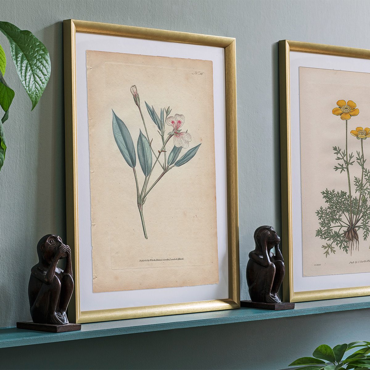 Original antique hand-colored engraving botanical print from Curtis’s Botanical Magazine; or Flower-Garden Displayed.