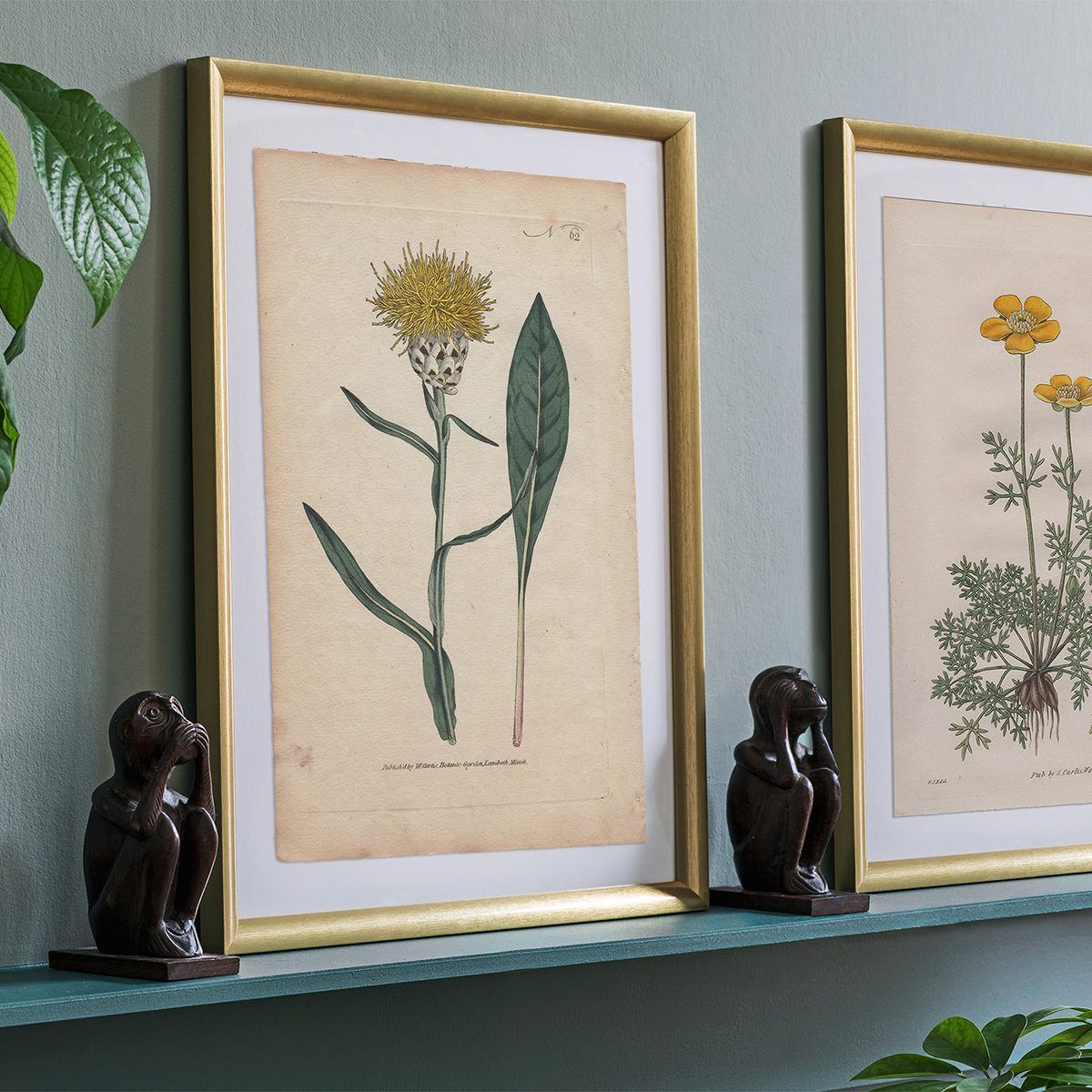 Original antique hand-colored engraving botanical print from Curtis’s Botanical Magazine; or Flower-Garden Displayed.