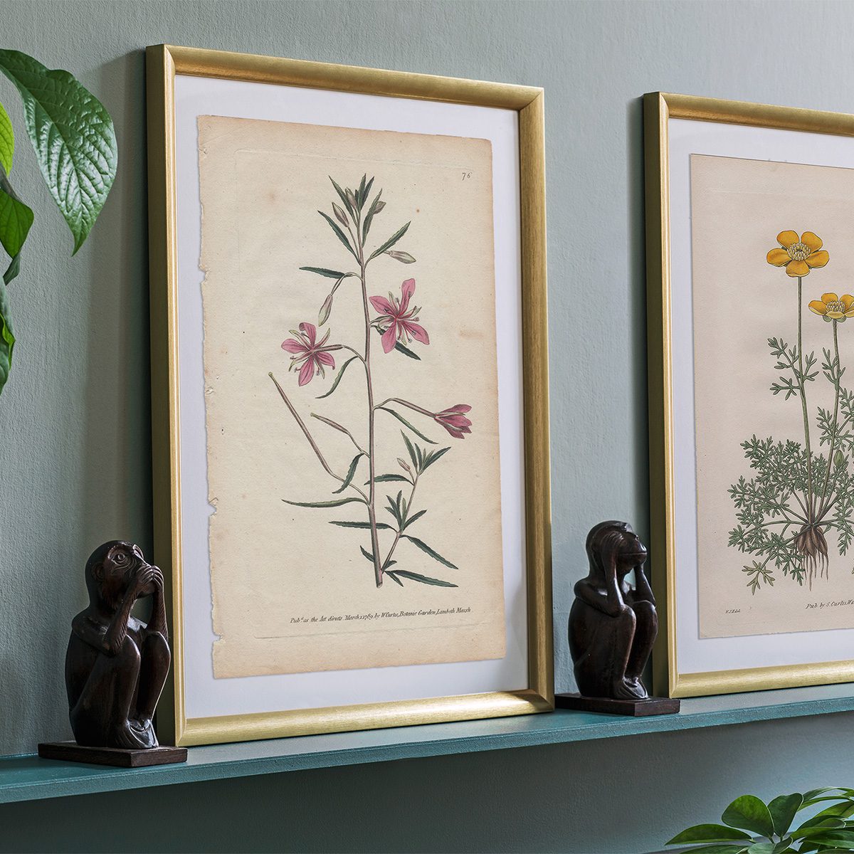 Original antique hand-colored engraving botanical print from Curtis’s Botanical Magazine; or Flower-Garden Displayed.