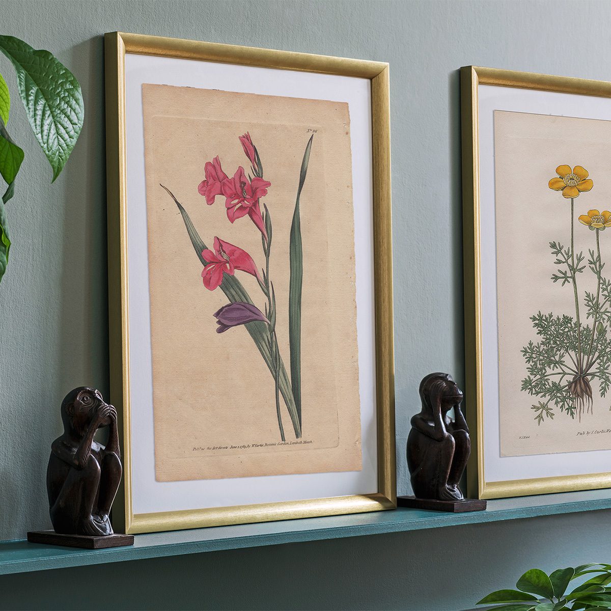 Original antique hand-colored engraving botanical print from Curtis’s Botanical Magazine; or Flower-Garden Displayed.