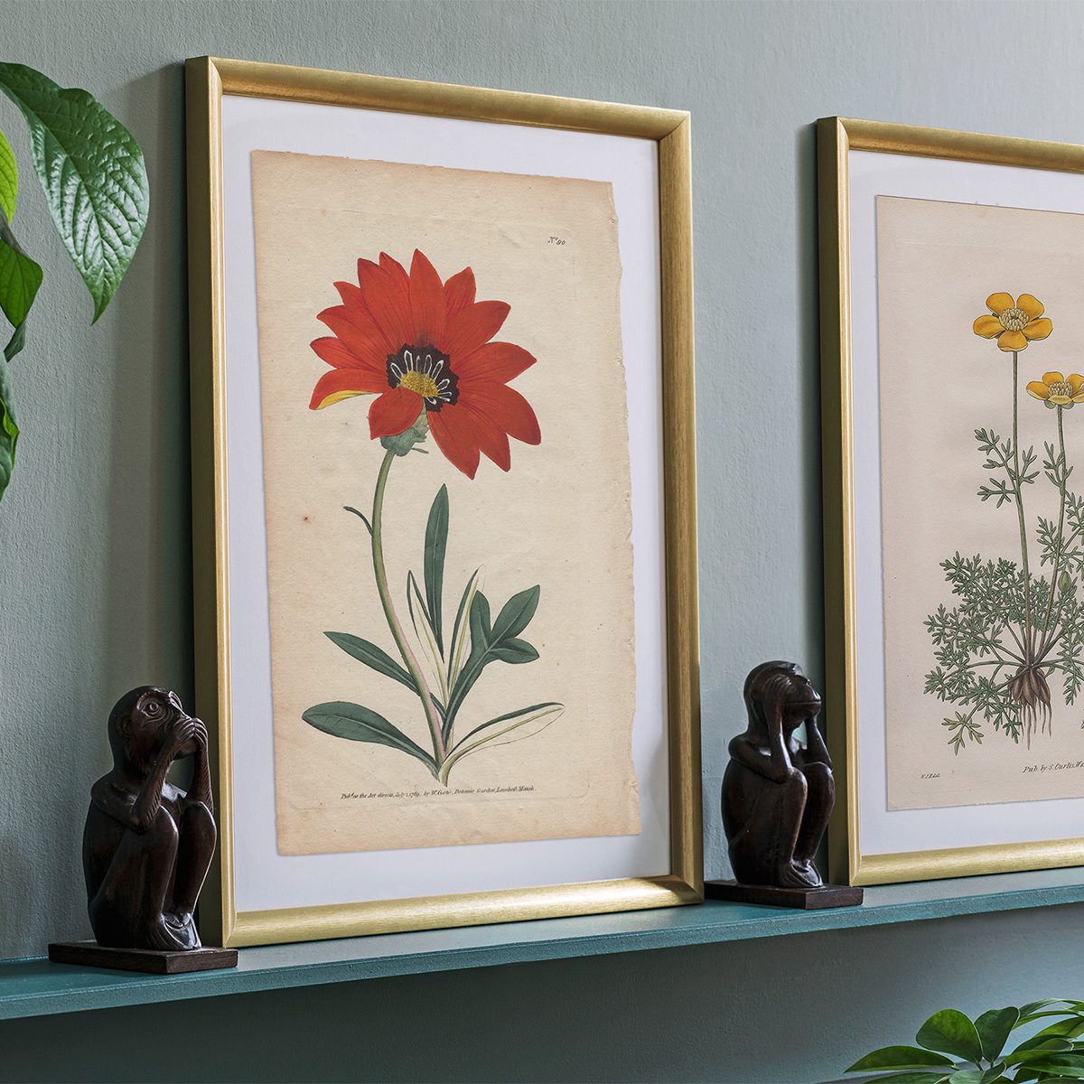 Original antique hand-colored engraving botanical print from Curtis’s Botanical Magazine; or Flower-Garden Displayed.