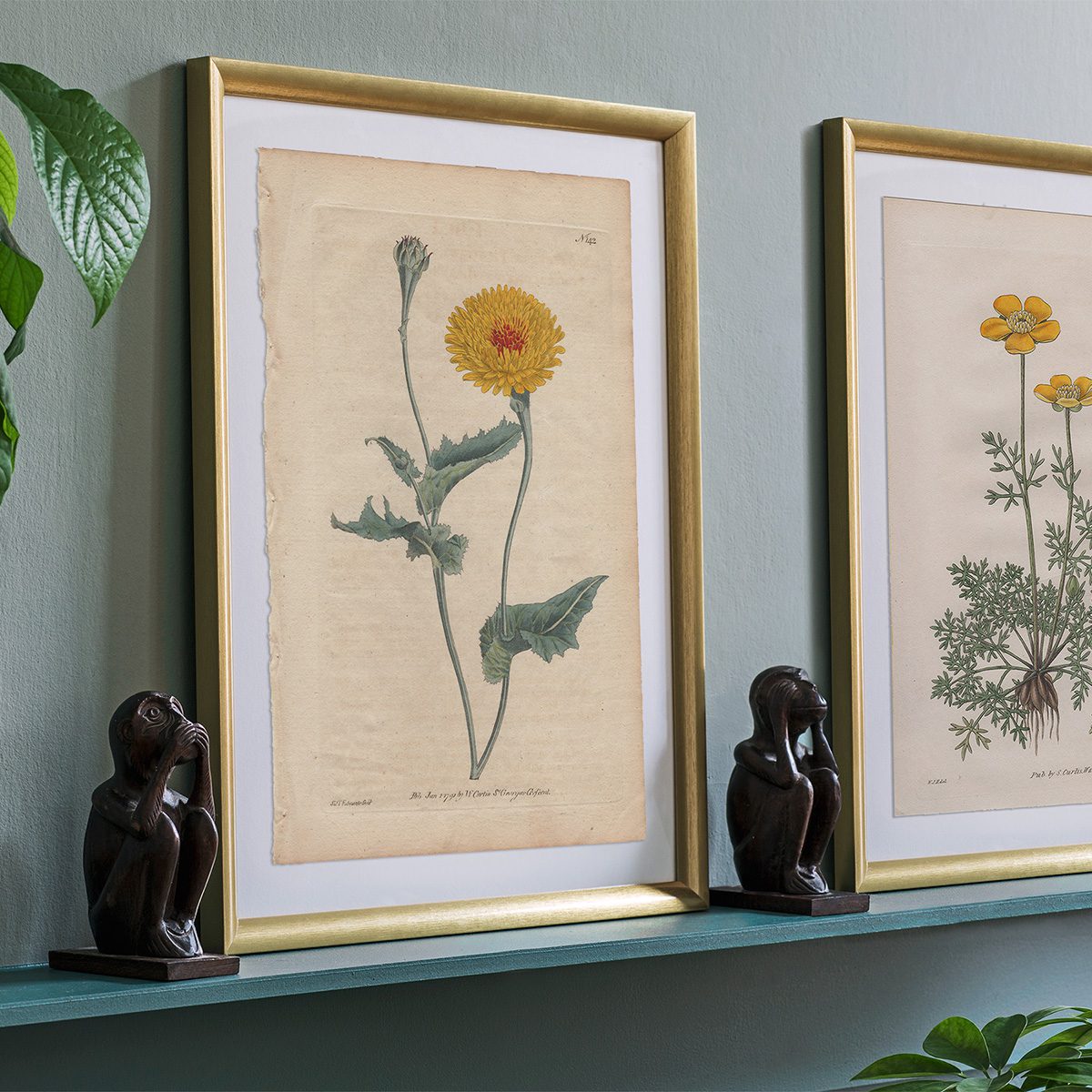 Original antique hand-colored engraving botanical print from Curtis’s Botanical Magazine; or Flower-Garden Displayed.