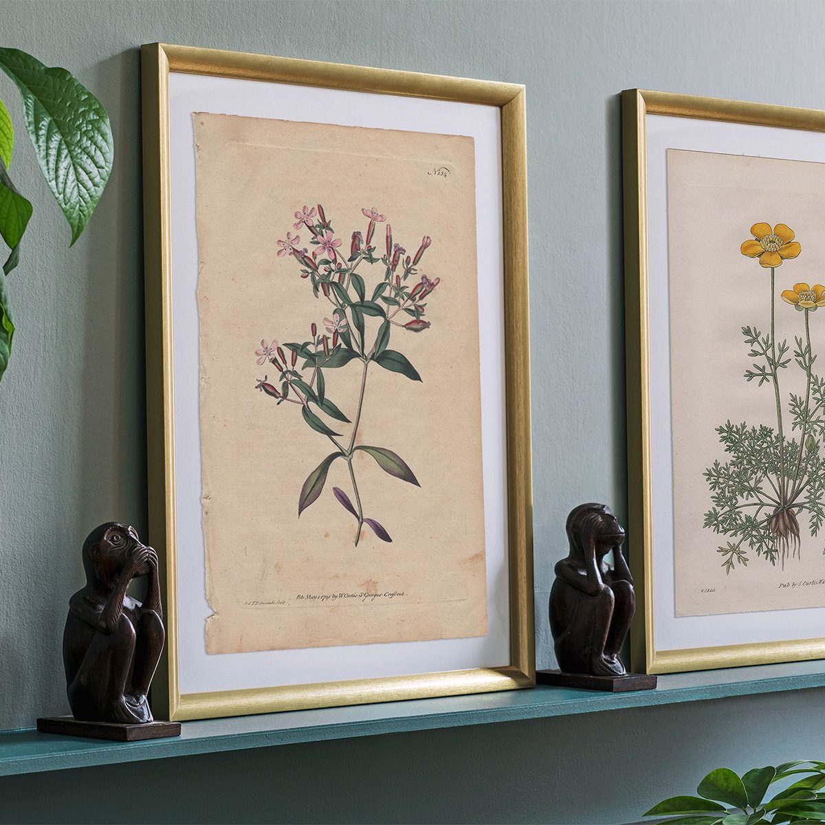 Original antique hand-colored engraving botanical print from Curtis’s Botanical Magazine; or Flower-Garden Displayed.