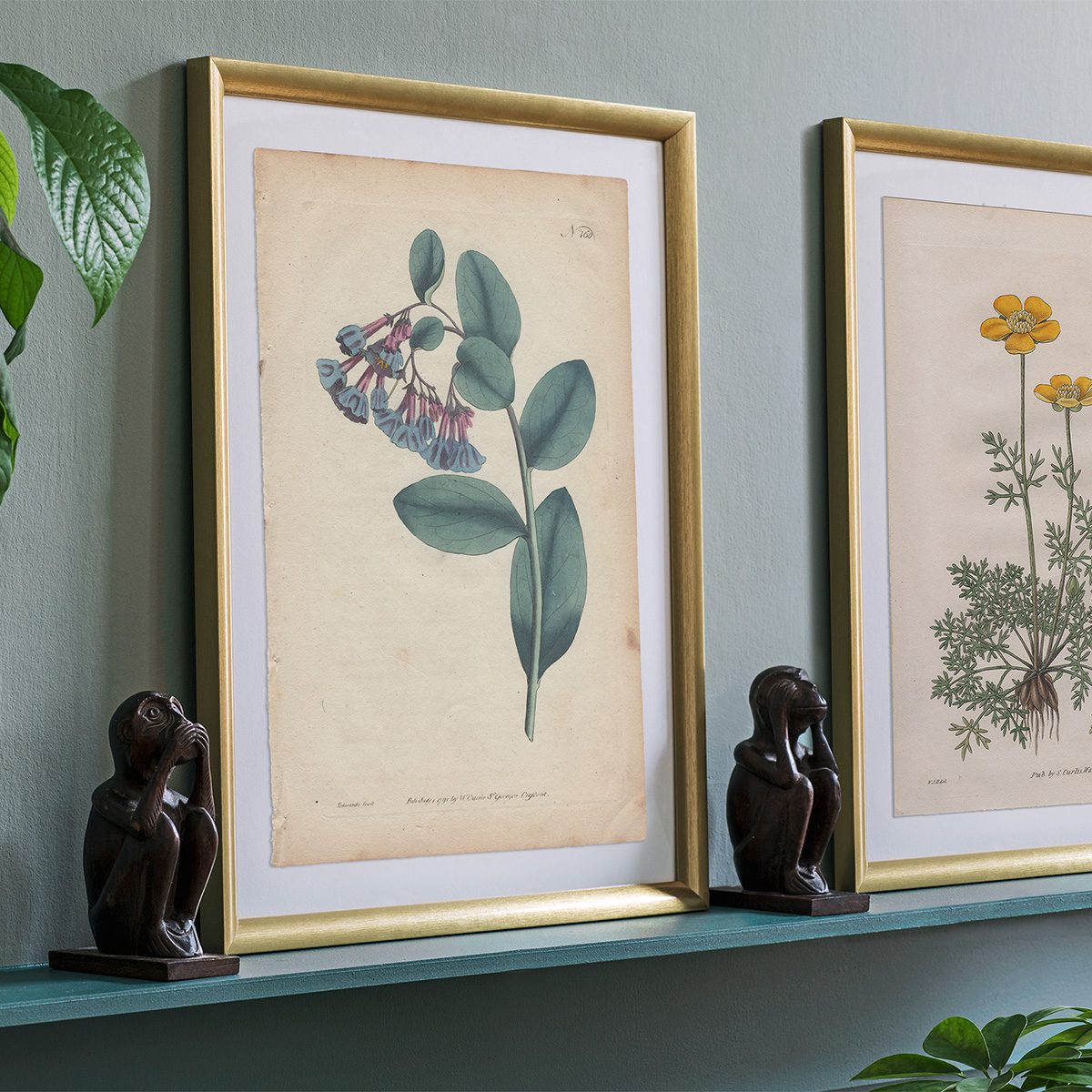 Original antique hand-colored engraving botanical print from Curtis’s Botanical Magazine; or Flower-Garden Displayed.
