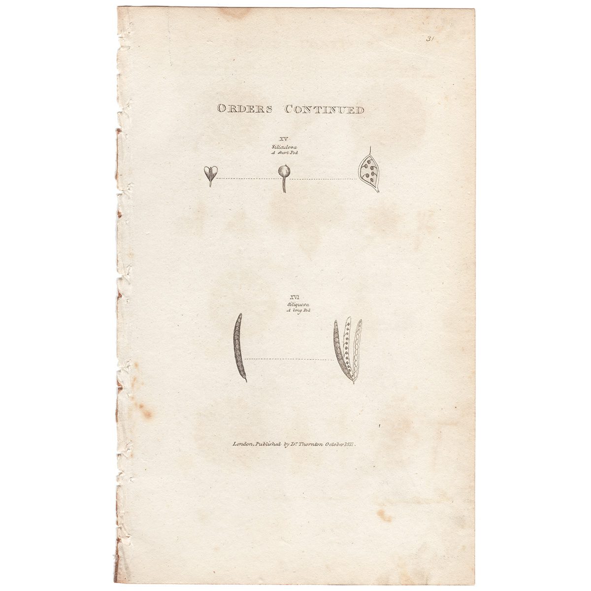 Thornton Botany Plate 53 Orders of the Sexual System, Orders Continued