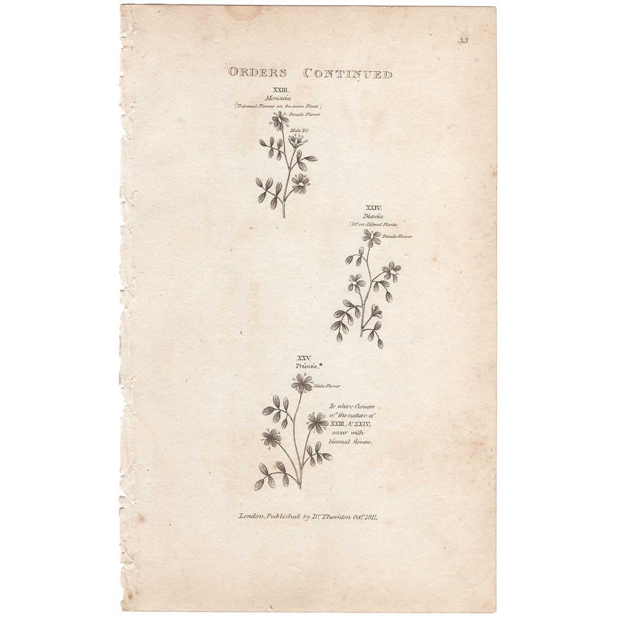 Thornton Botany Plate 55 Orders of the Sexual System, Orders Continued