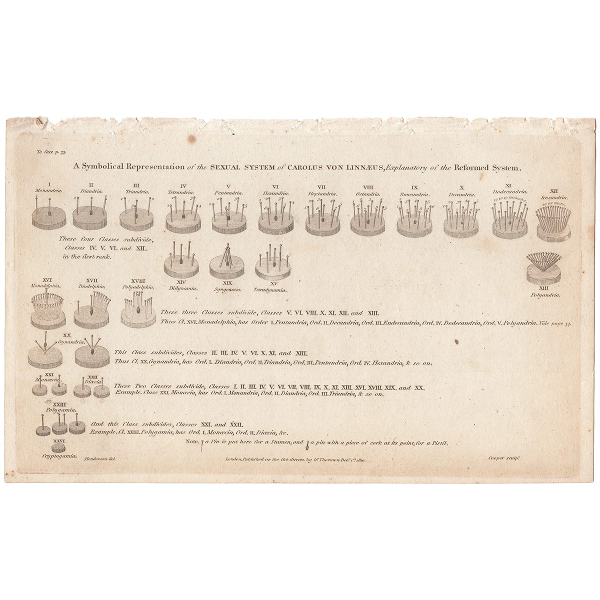 Thornton Botany Plate 57 A Symbolical Representation of the Sexual System of Carolus Von Linnaus