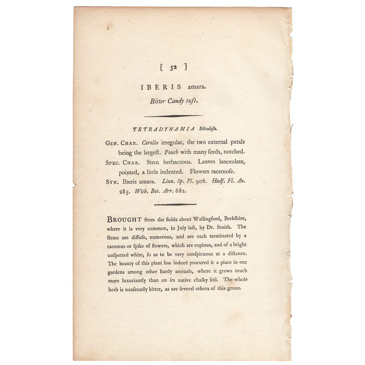 Sowerby Botany Plate 52 Bitter Candy tuft - Image 3