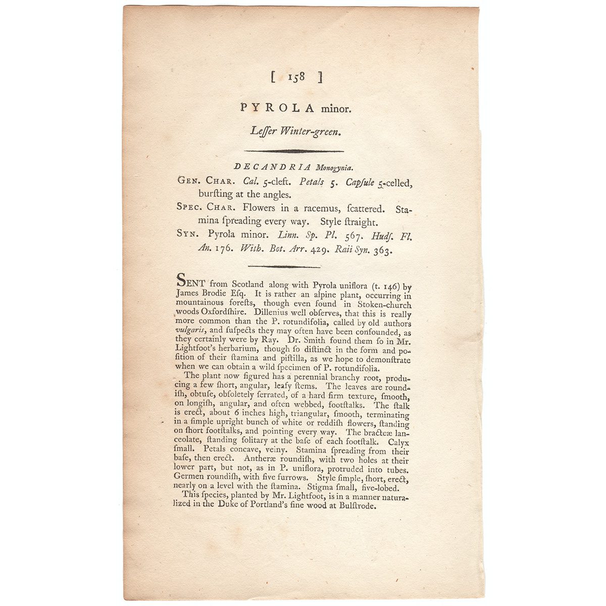 James Sowerby English Botany