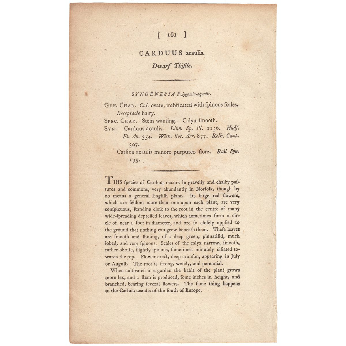 James Sowerby English Botany