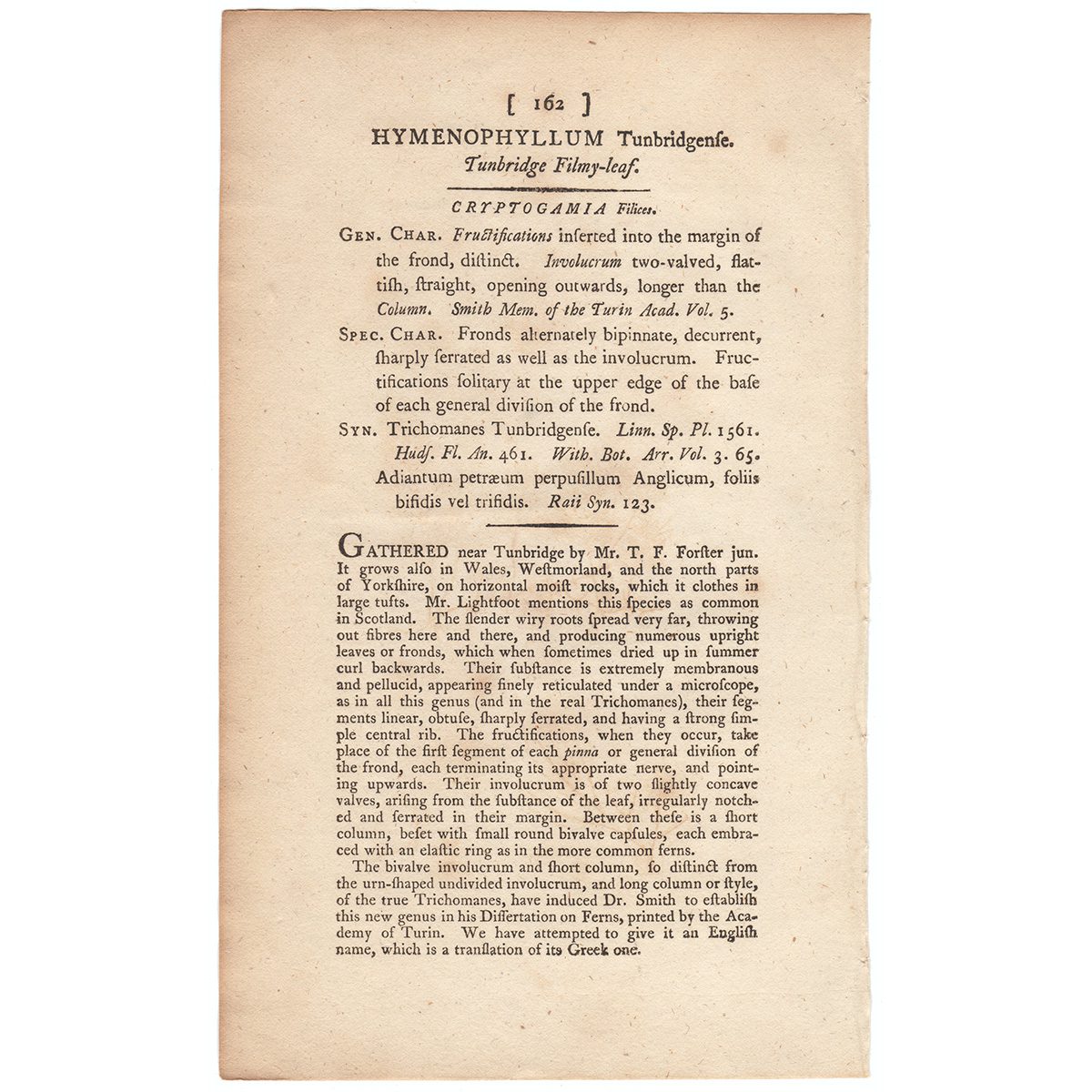 James Sowerby English Botany