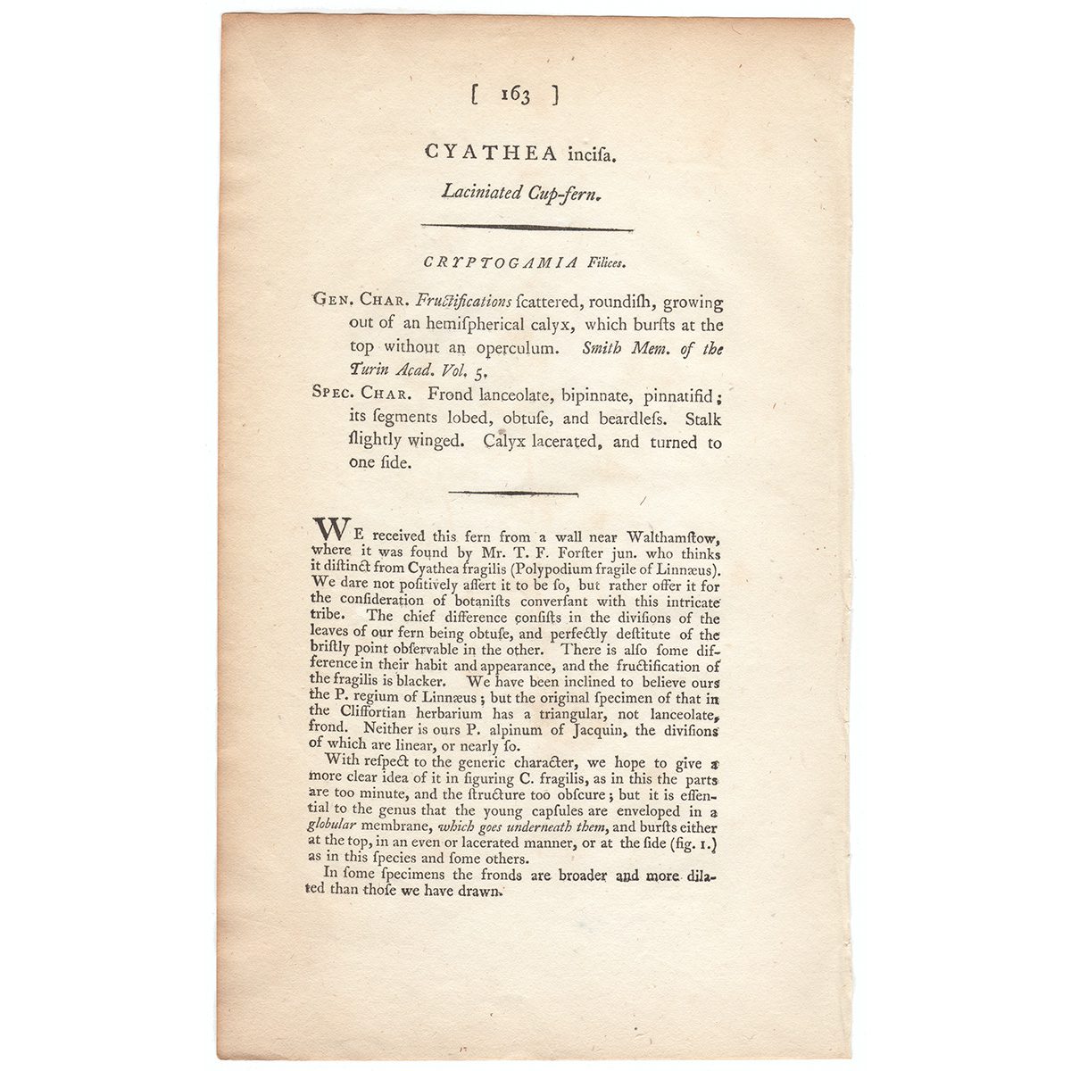 James Sowerby English Botany