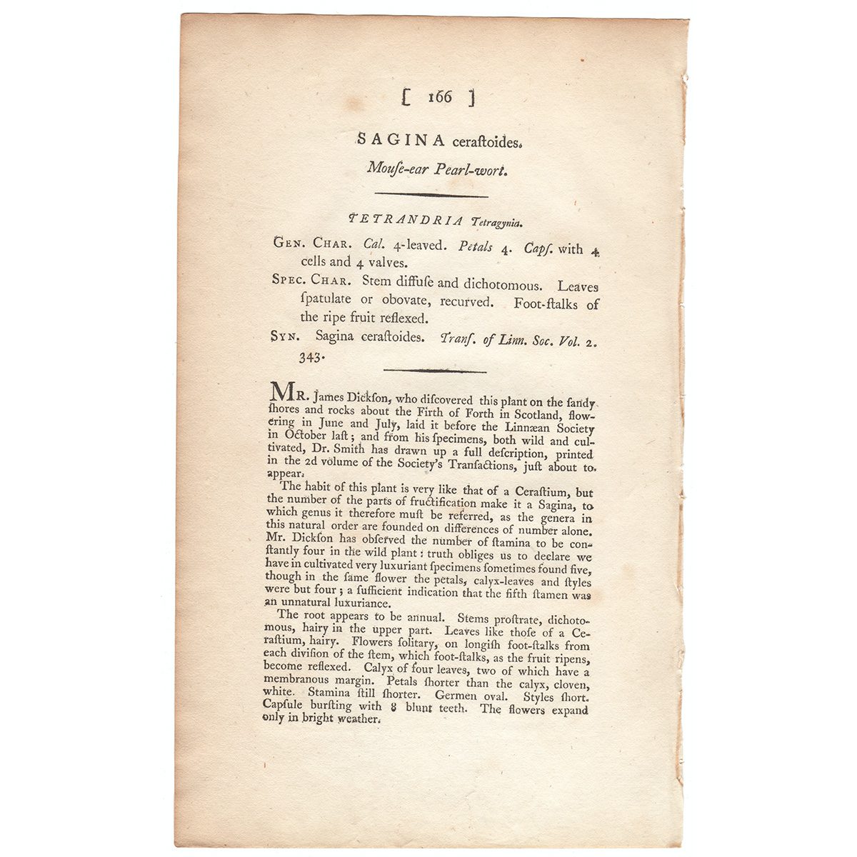 James Sowerby English Botany