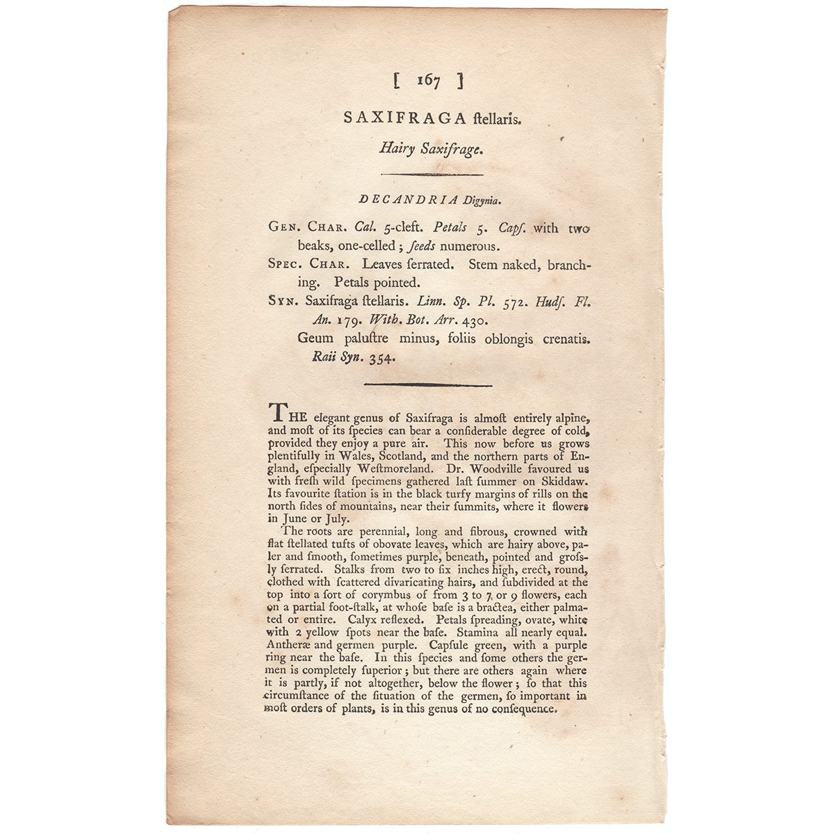 James Sowerby English Botany