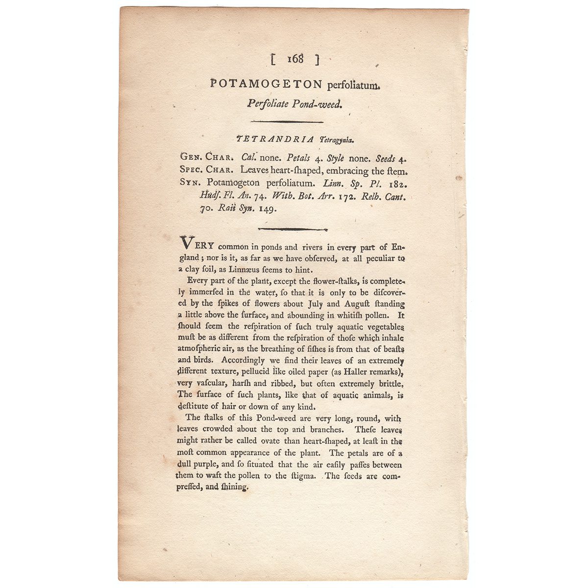 James Sowerby English Botany