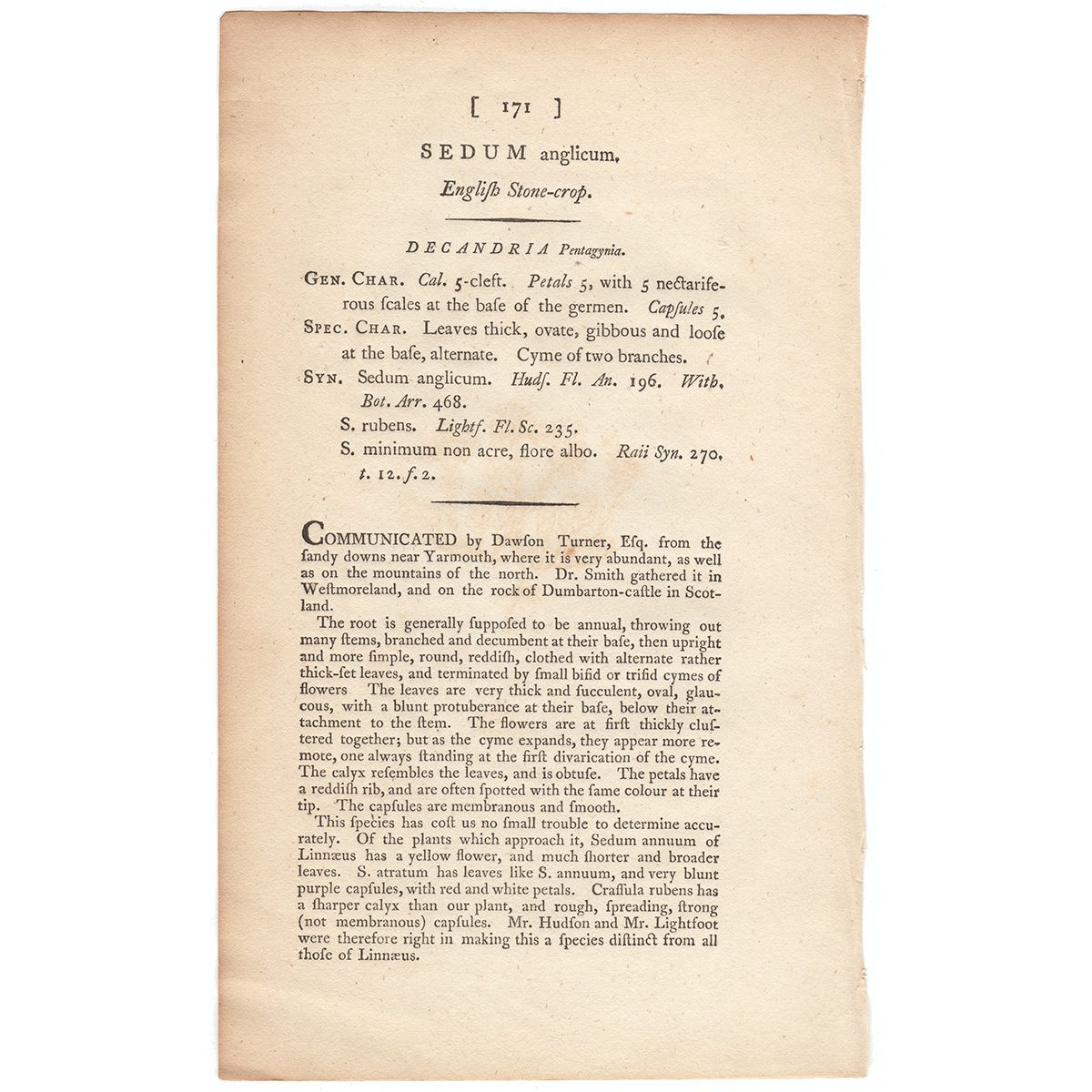 James Sowerby English Botany