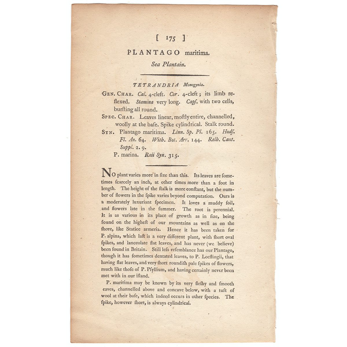 James Sowerby English Botany