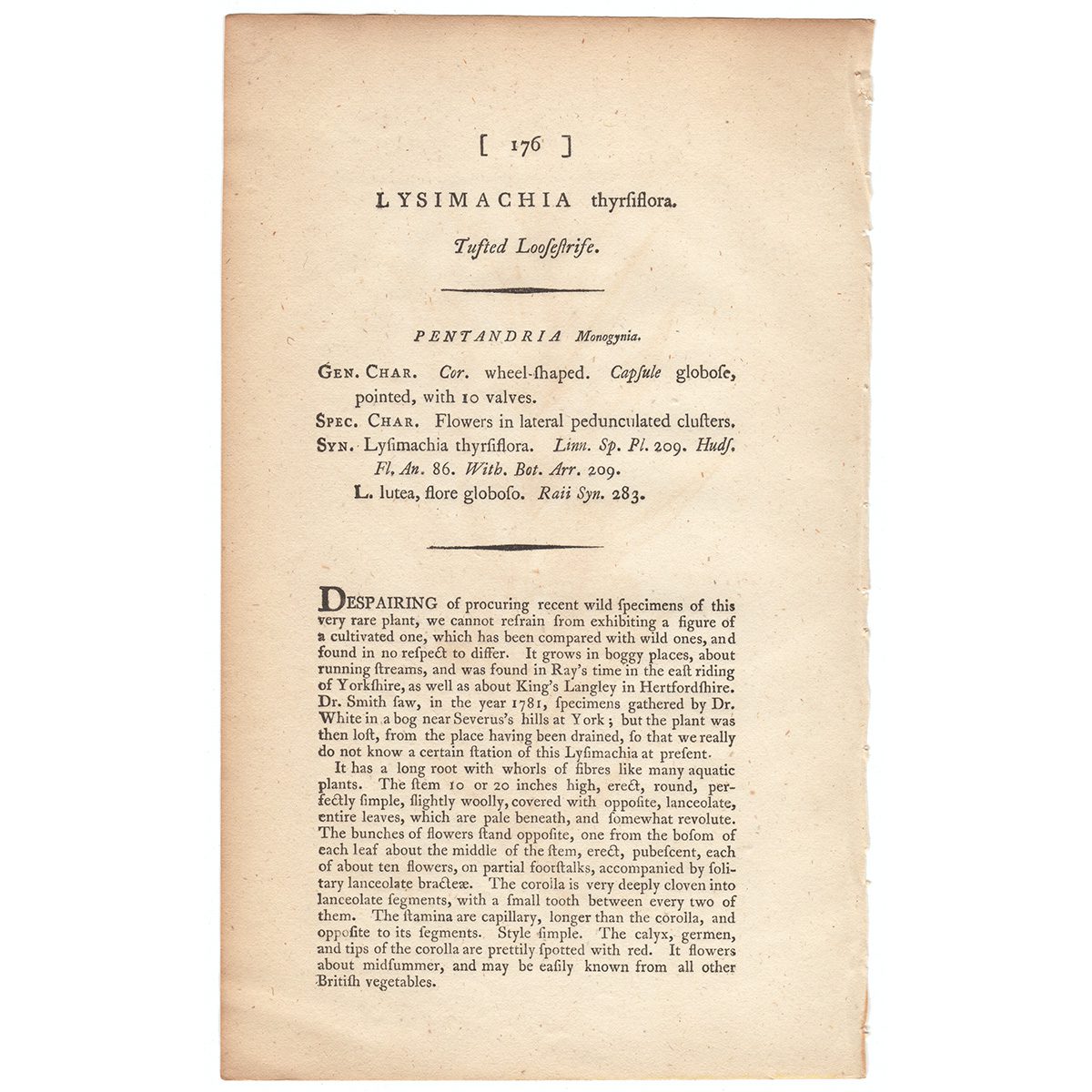 James Sowerby English Botany