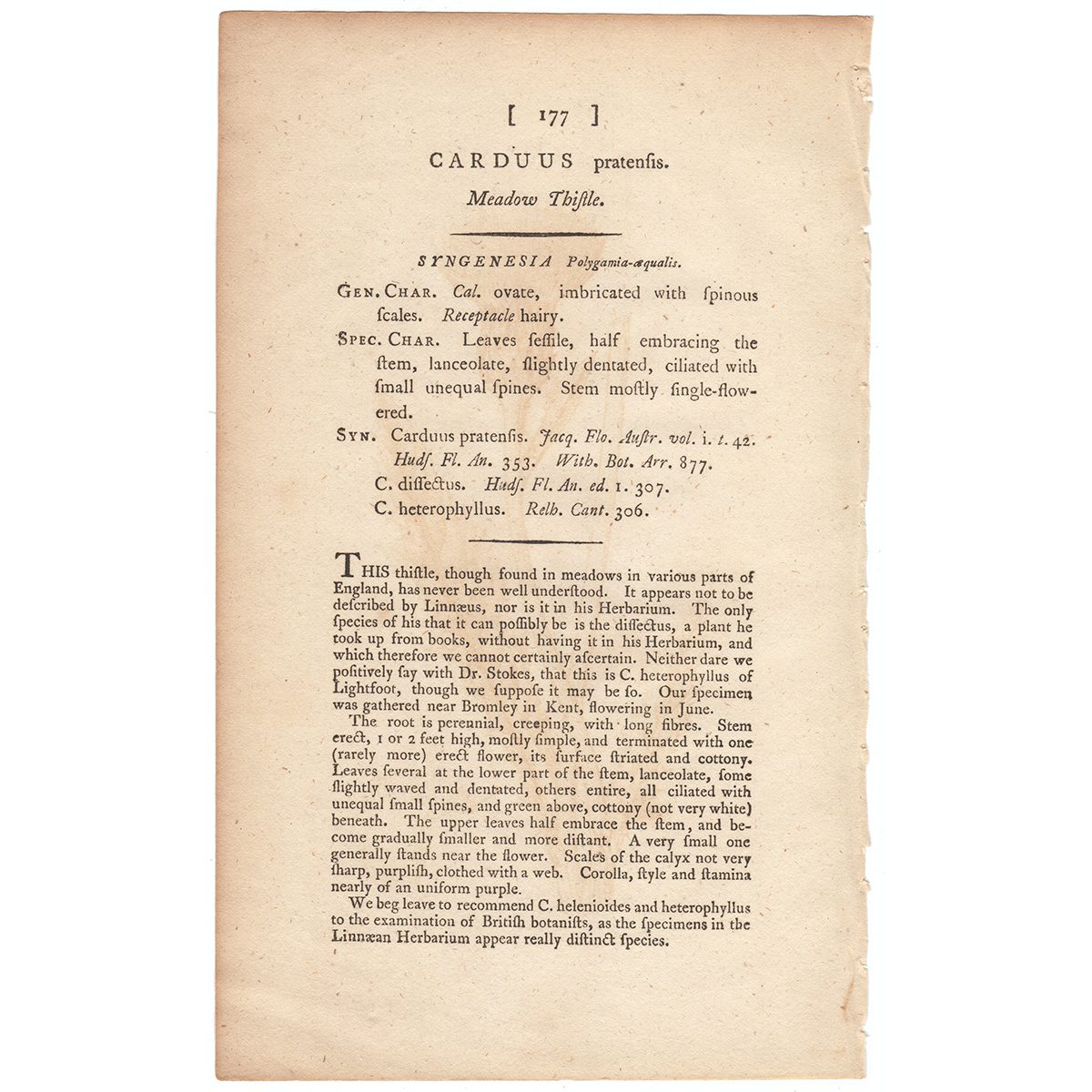 James Sowerby English Botany