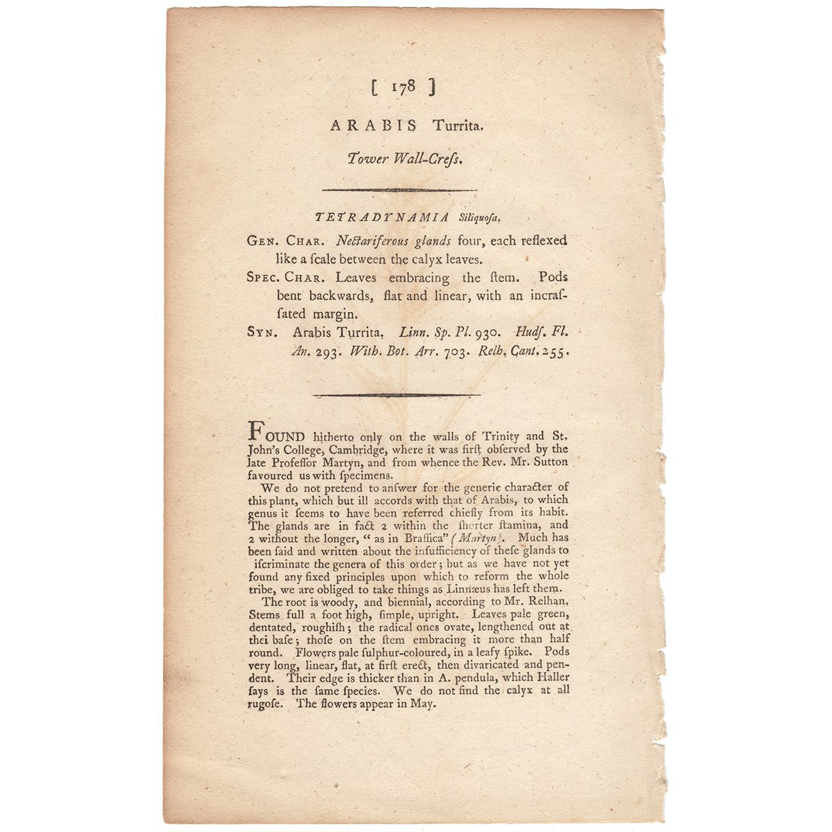 James Sowerby English Botany