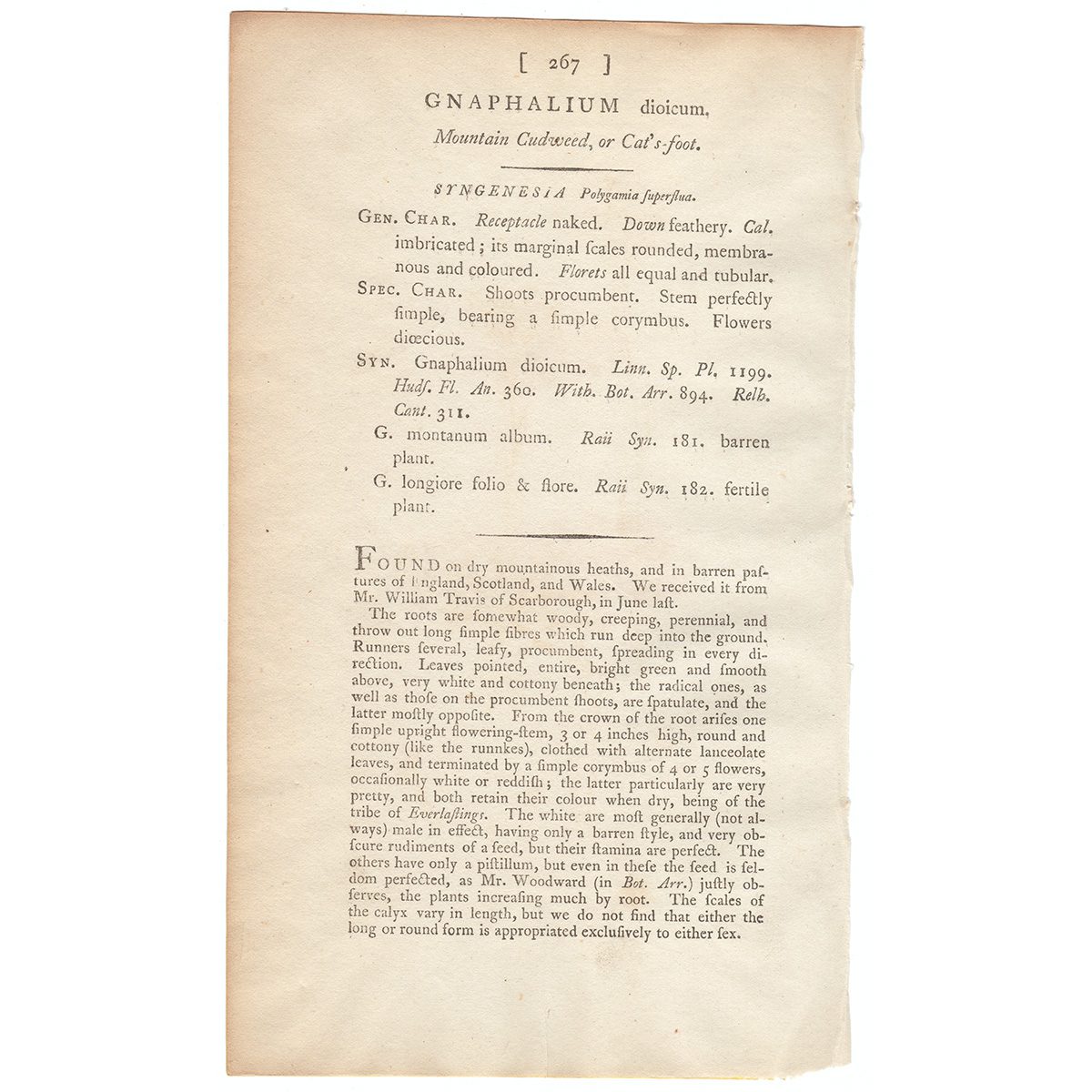 James Sowerby English Botany