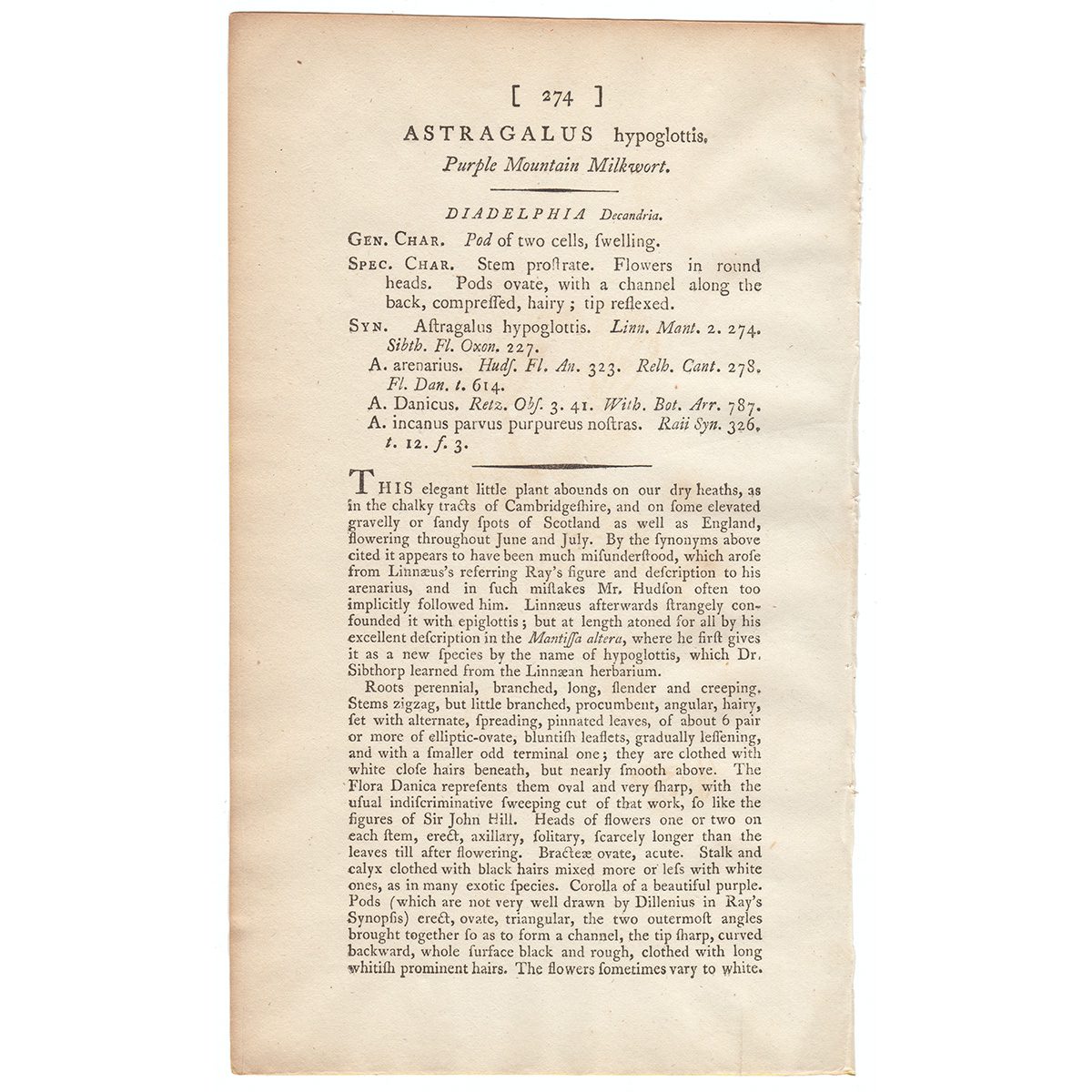 James Sowerby English Botany