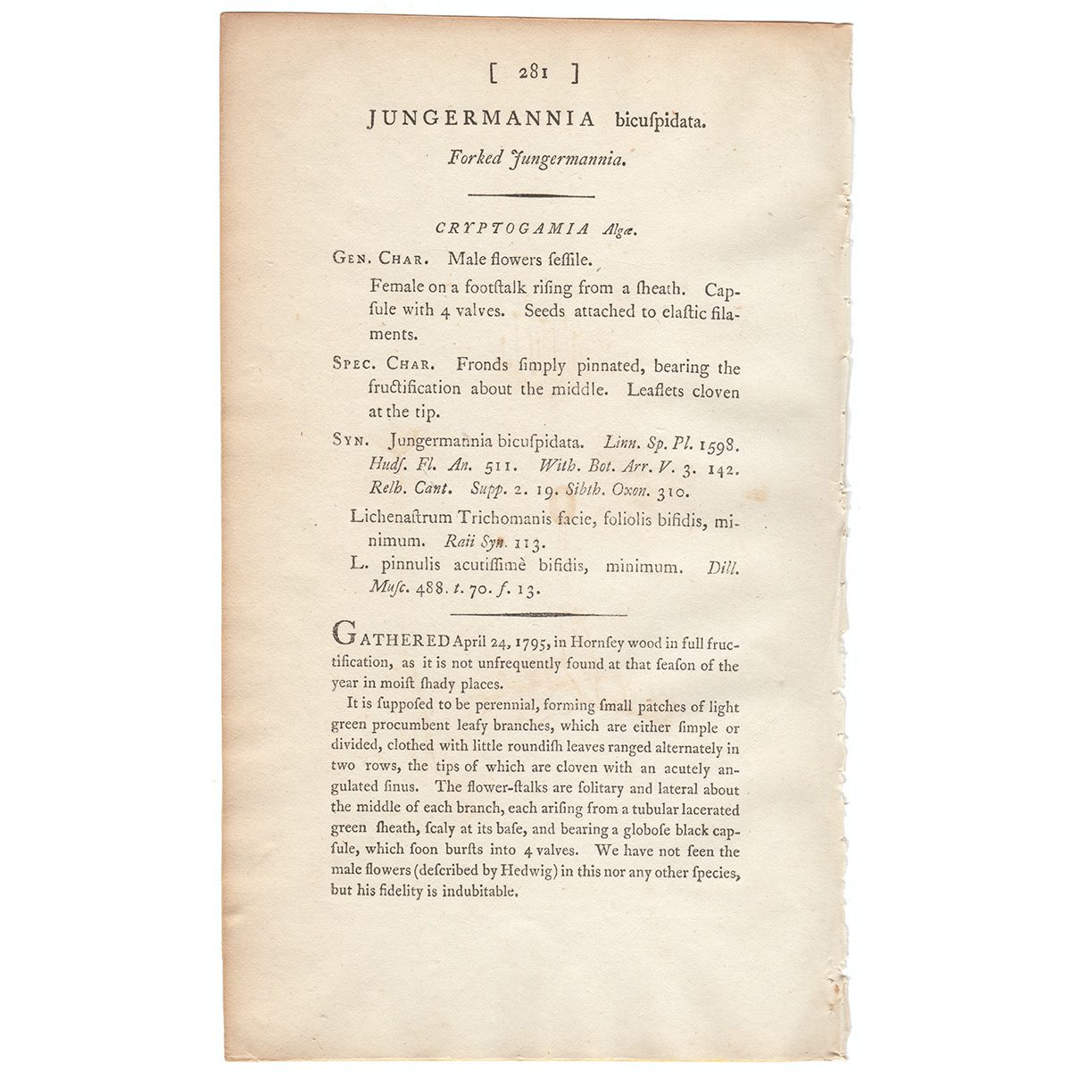 James Sowerby English Botany