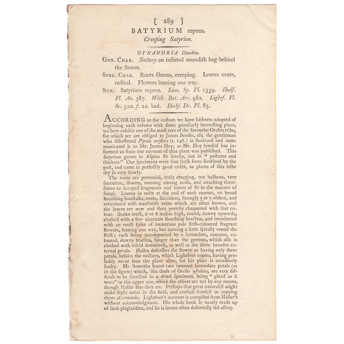 James Sowerby English Botany