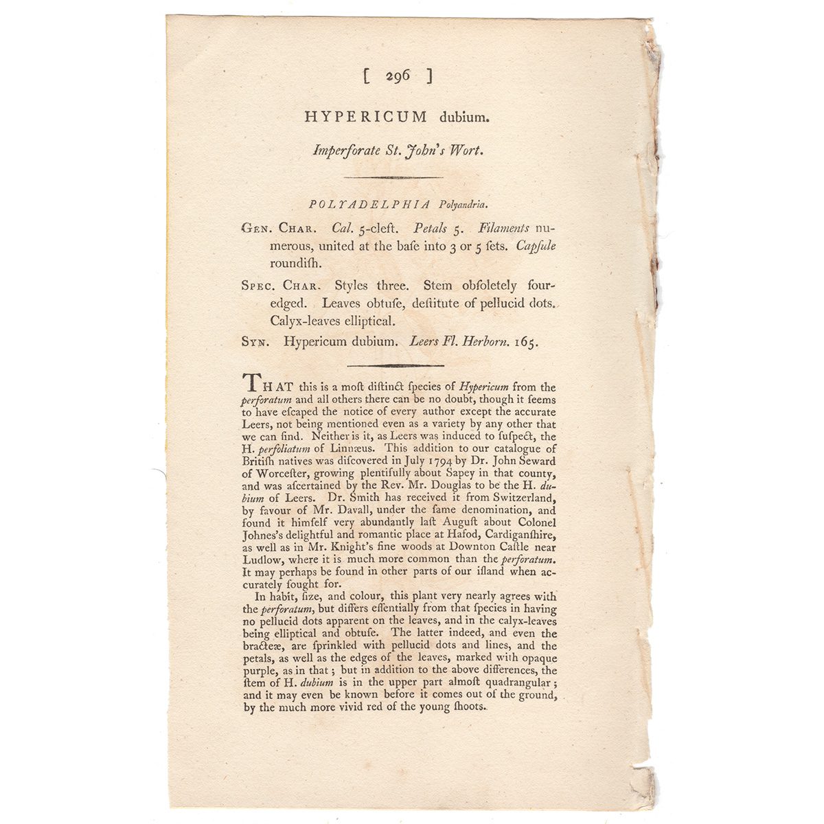 Sowerby Botany Plate 296 Imperforate St. John's Wort - Image 3