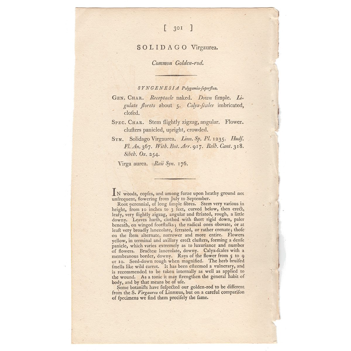 James Sowerby English Botany