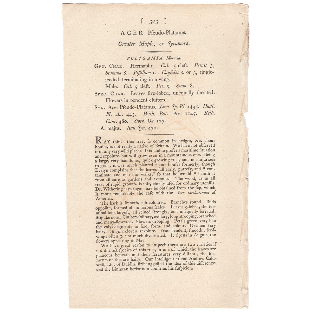 James Sowerby English Botany