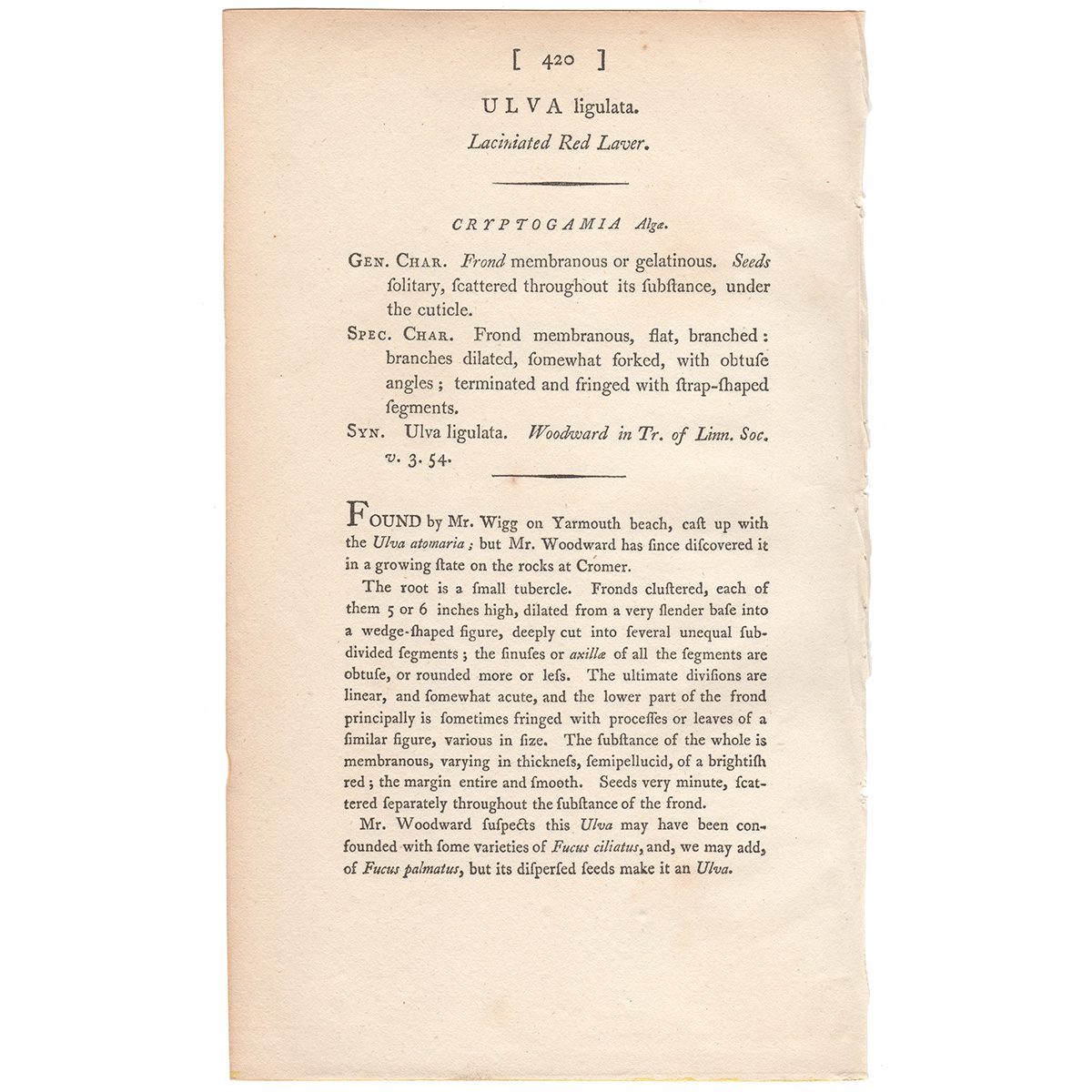 James Sowerby English Botany