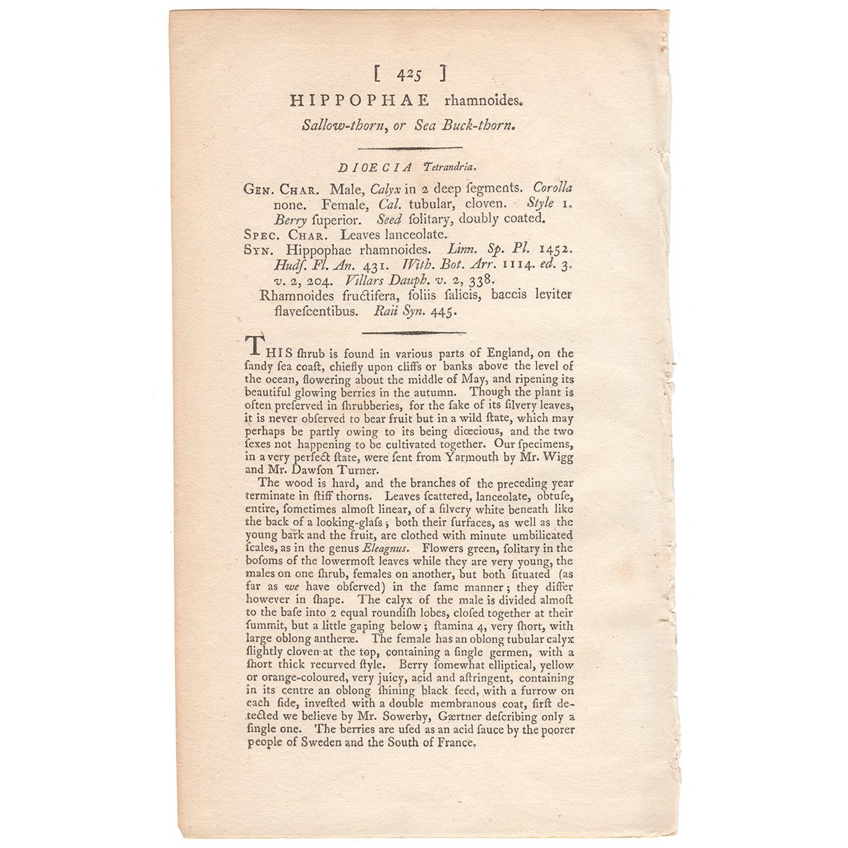 James Sowerby English Botany