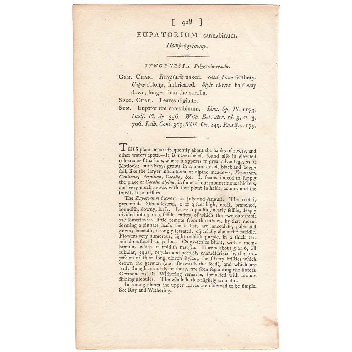 James Sowerby English Botany