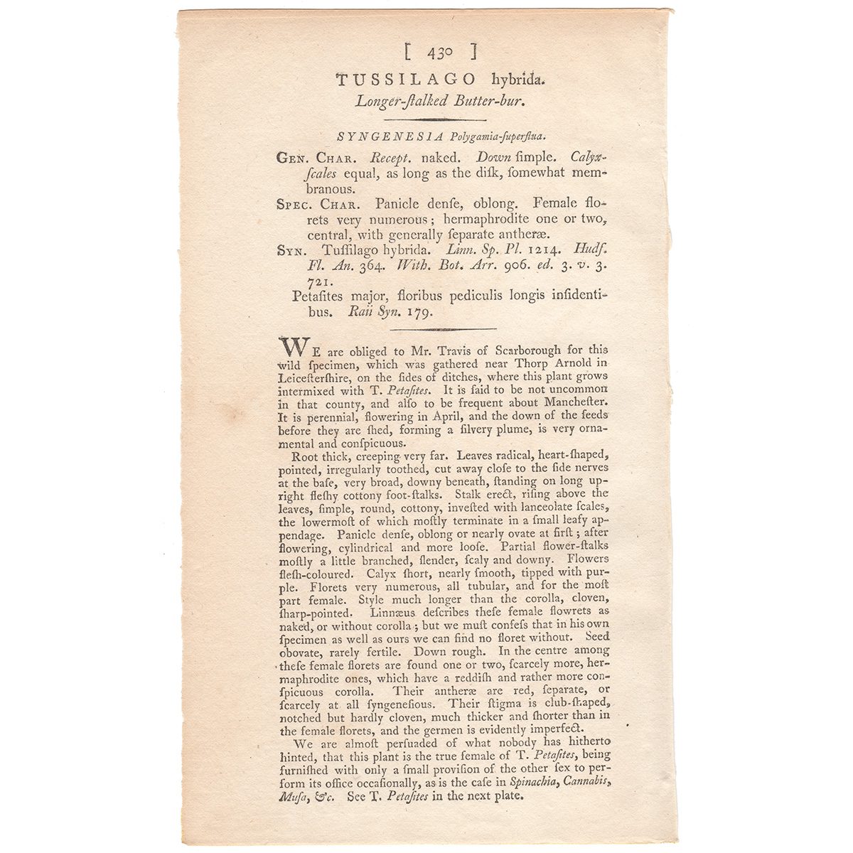 James Sowerby English Botany