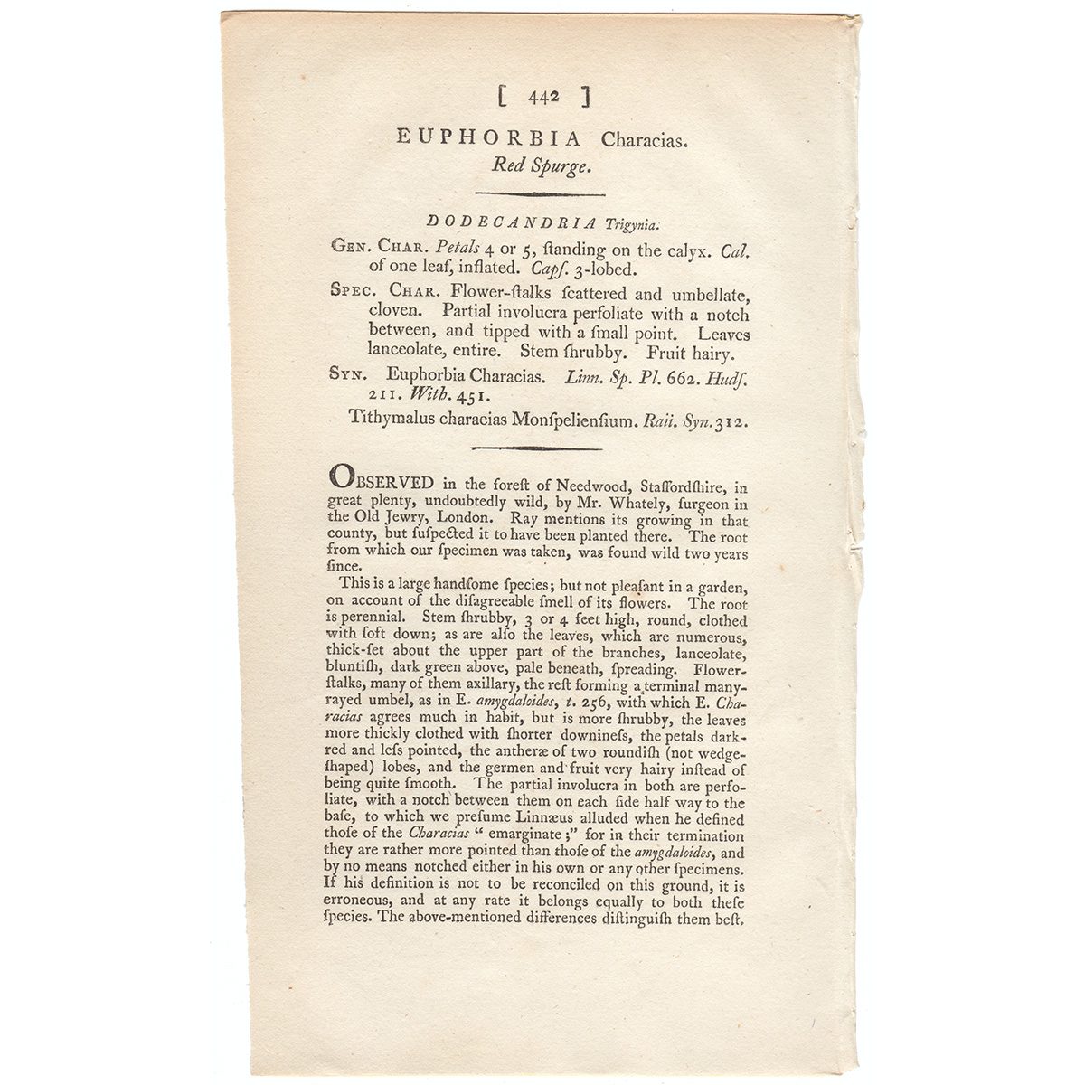 James Sowerby English Botany