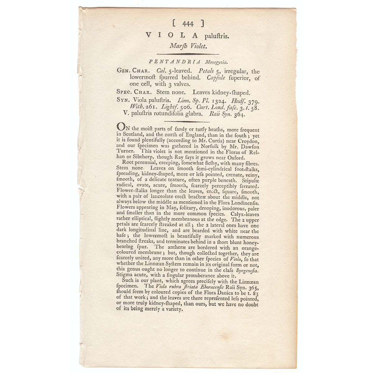 James Sowerby English Botany