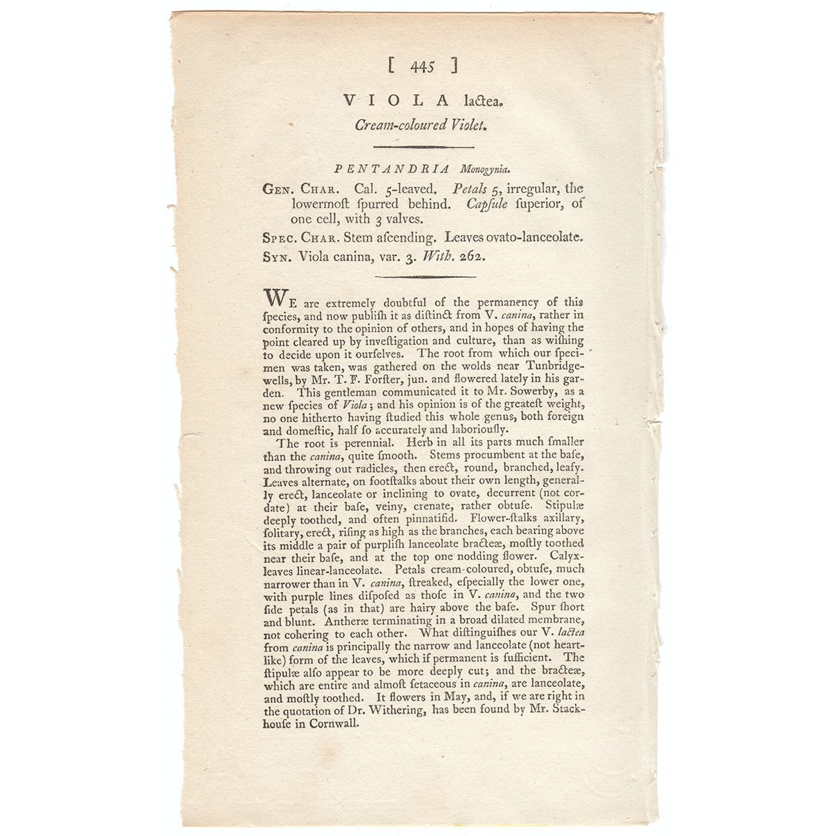 James Sowerby English Botany