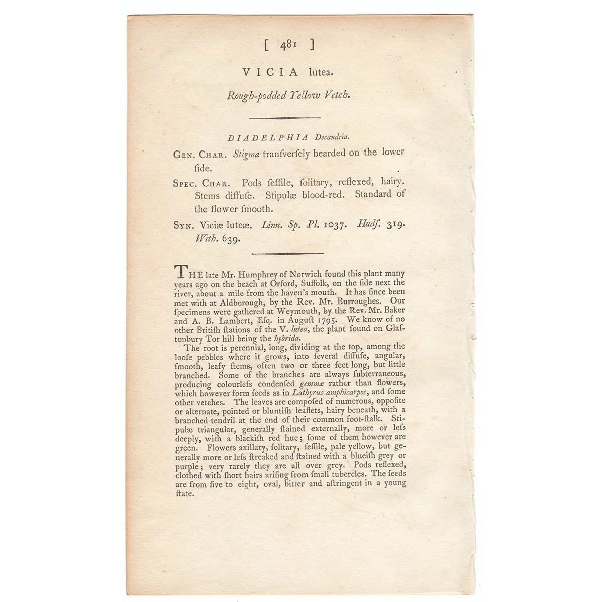 James Sowerby English Botany