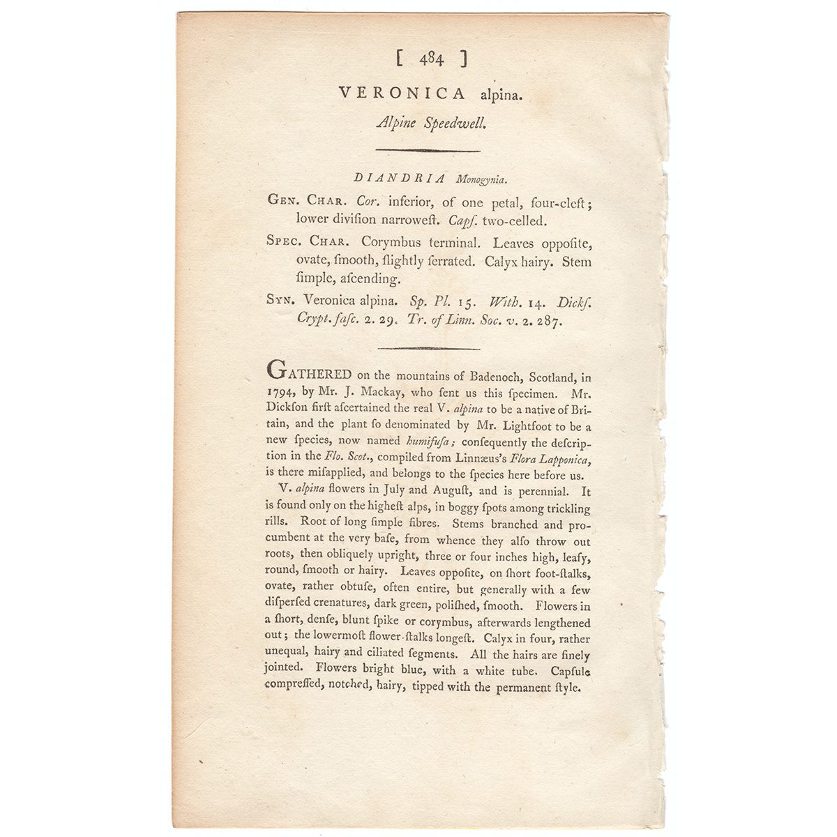 James Sowerby English Botany