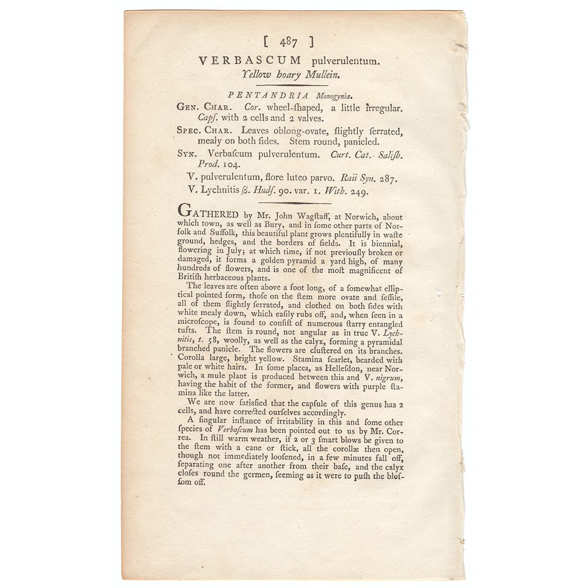 James Sowerby English Botany