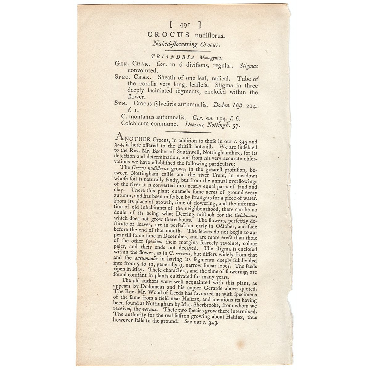 James Sowerby English Botany