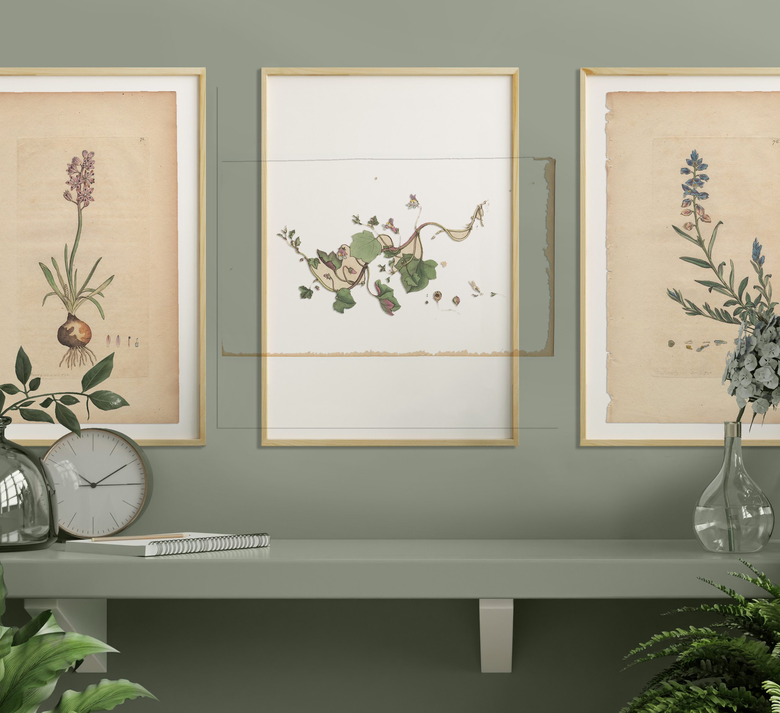 James Sowerby English Botany