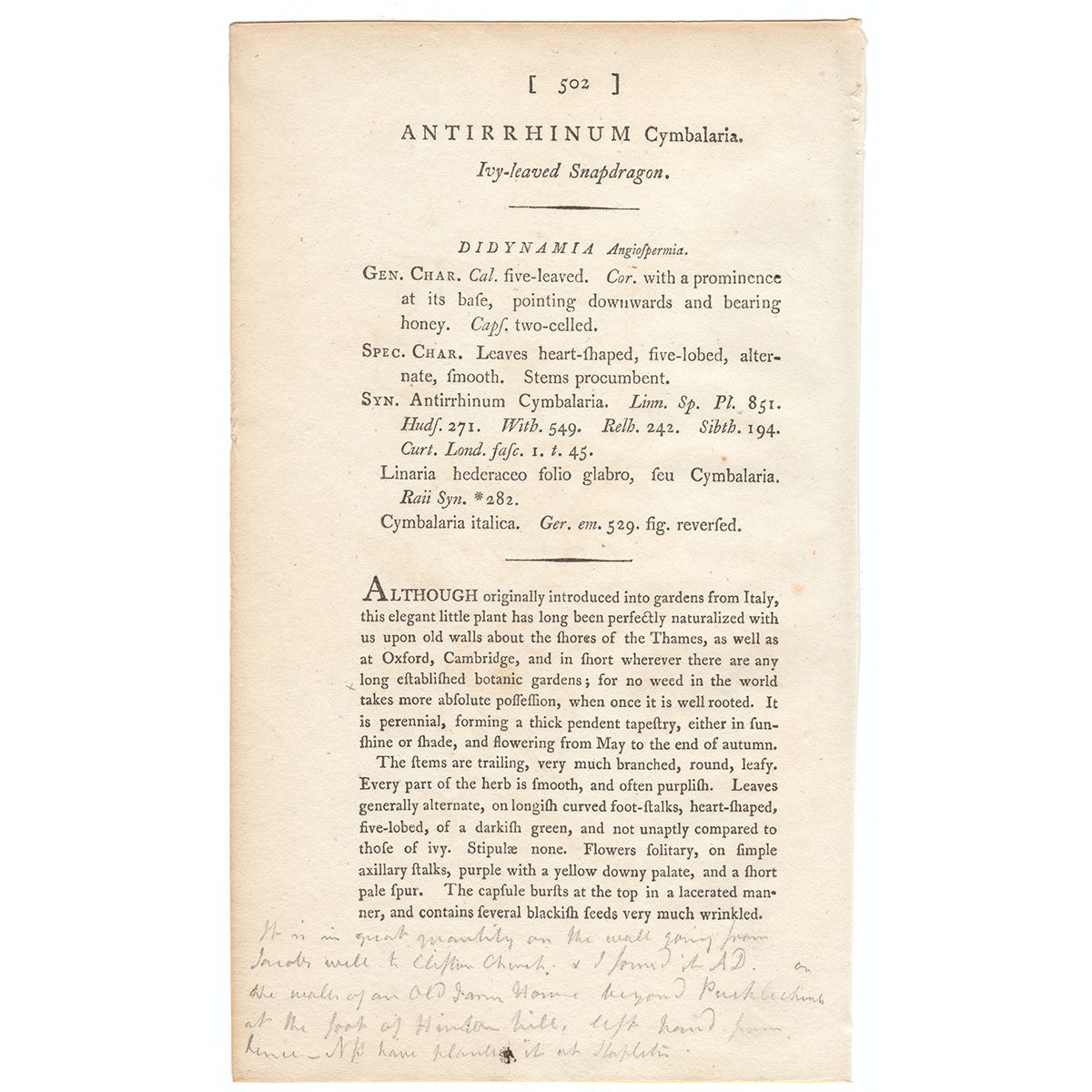 James Sowerby English Botany