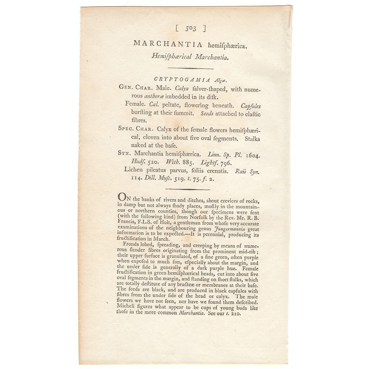 James Sowerby English Botany