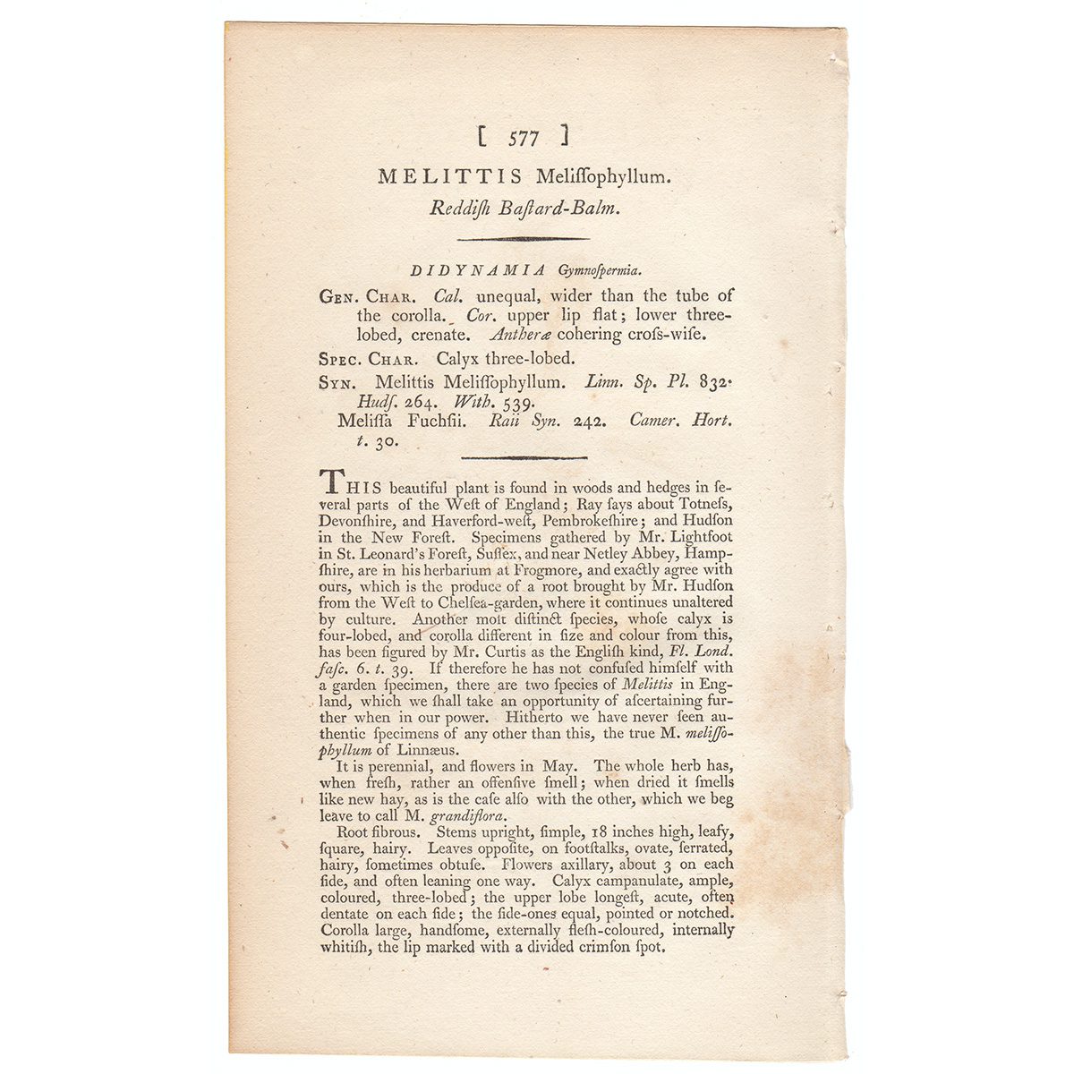 James Sowerby English Botany