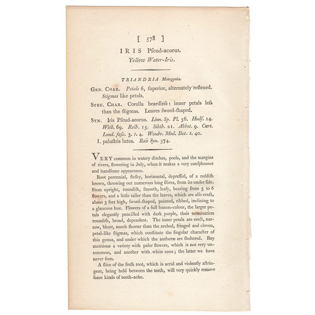 James Sowerby English Botany