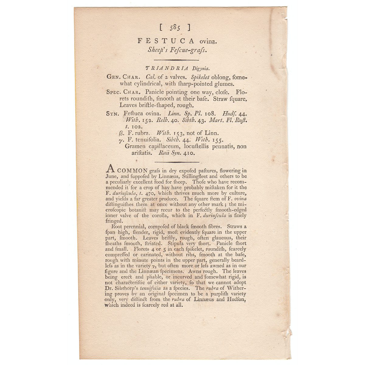 James Sowerby English Botany