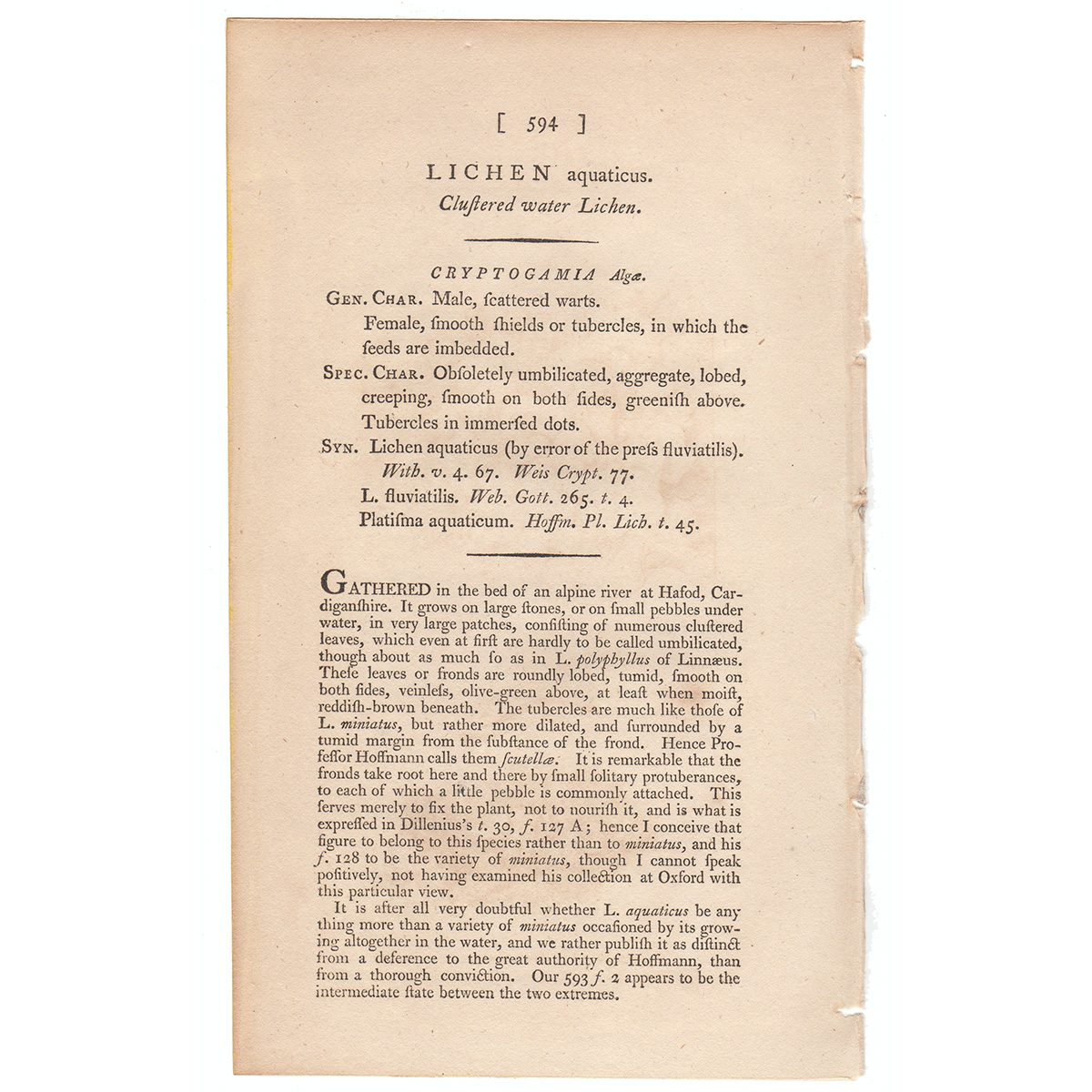 James Sowerby English Botany