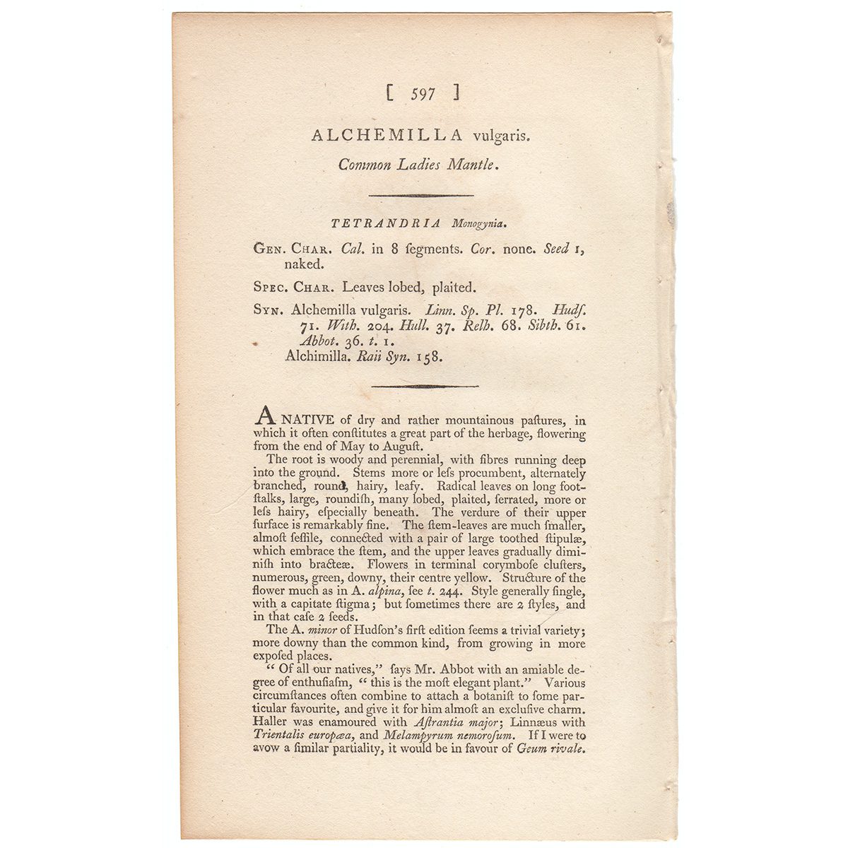 James Sowerby English Botany